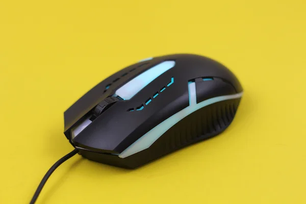 Mouse Kya Hai