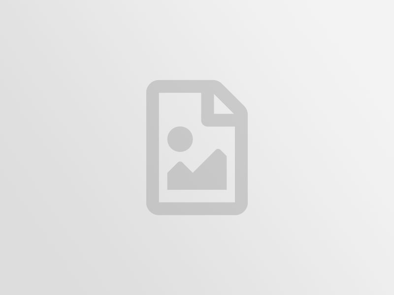 Best Place to Buy a Domain Name for Business, Blog, Shopify, Online Store 1 fallback